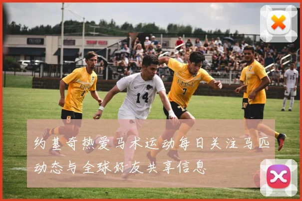 约基奇热爱马术运动每日关注马匹动态与全球好友共享信息